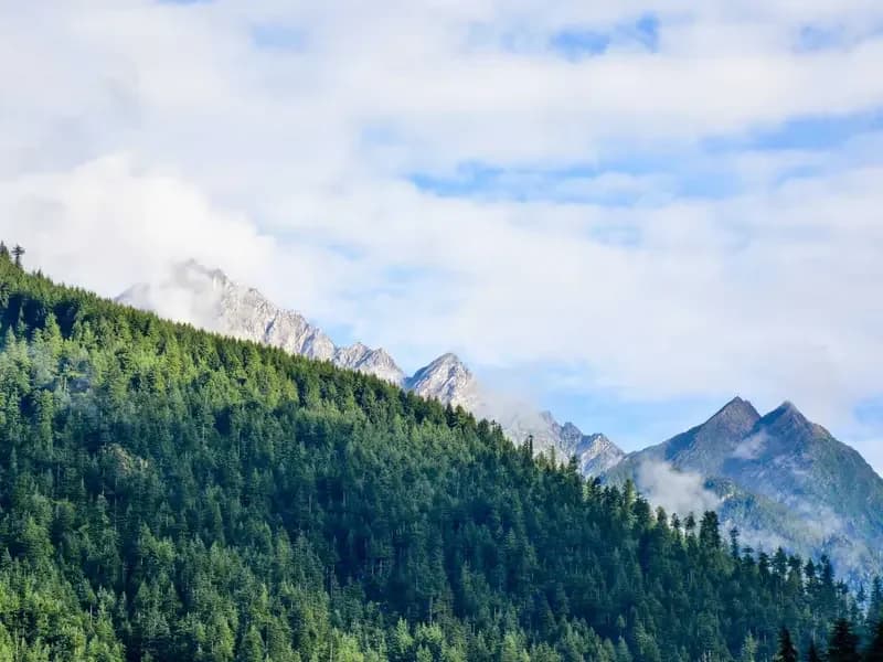 Portable Habitats: The Essentials of Mobile Shelters