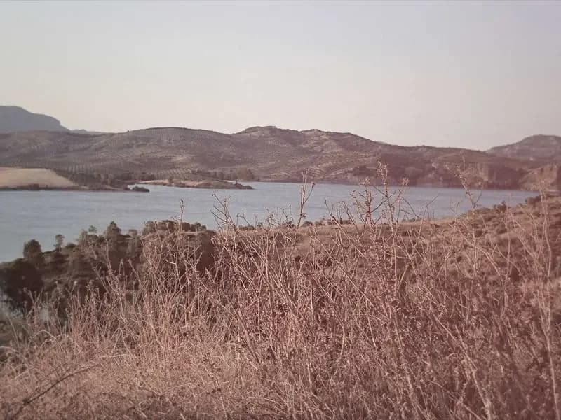 Robotics and the Looming Collapse: Understanding the Role of Automation in a Post-Catastrophic World