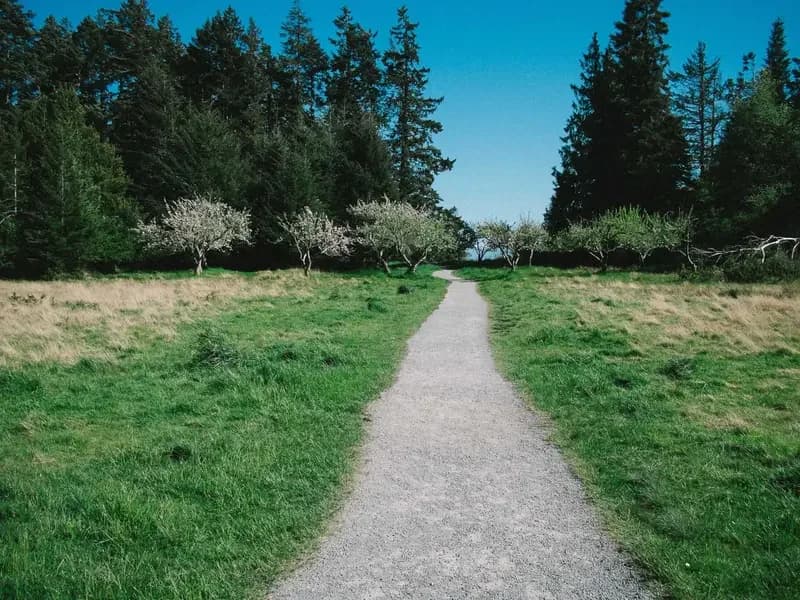 Survival Medicine: Mastering First Aid and Trauma Care in a Collapsing World