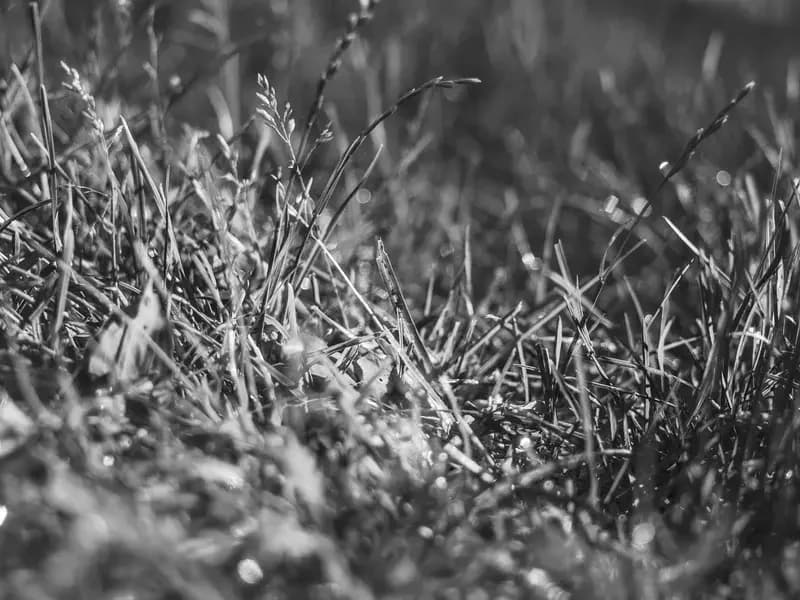 Surviving Industrial Contamination: Air and Water Pollution